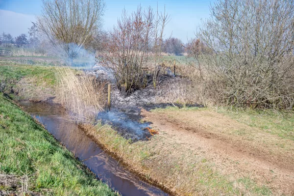 P 2 BNN-03 BR berm/bosschage Eastbroeksterwei Kollumersweach 024431