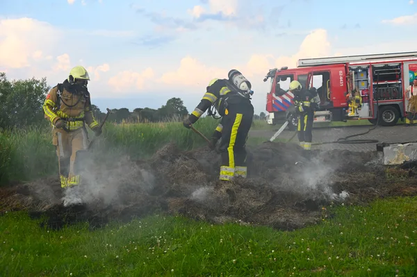 P 2 BNN-02 BR berm/bosschage Ligplaats LM10 Nije Swemmer Aldwald