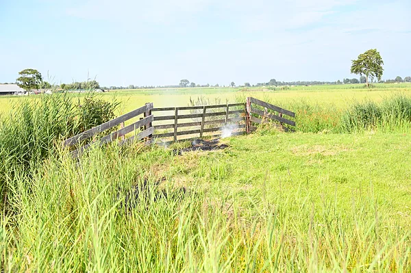 P 2 BNN-05 BR berm/bosschage N358 - Lauwersmeerweg 25,0 Kollum